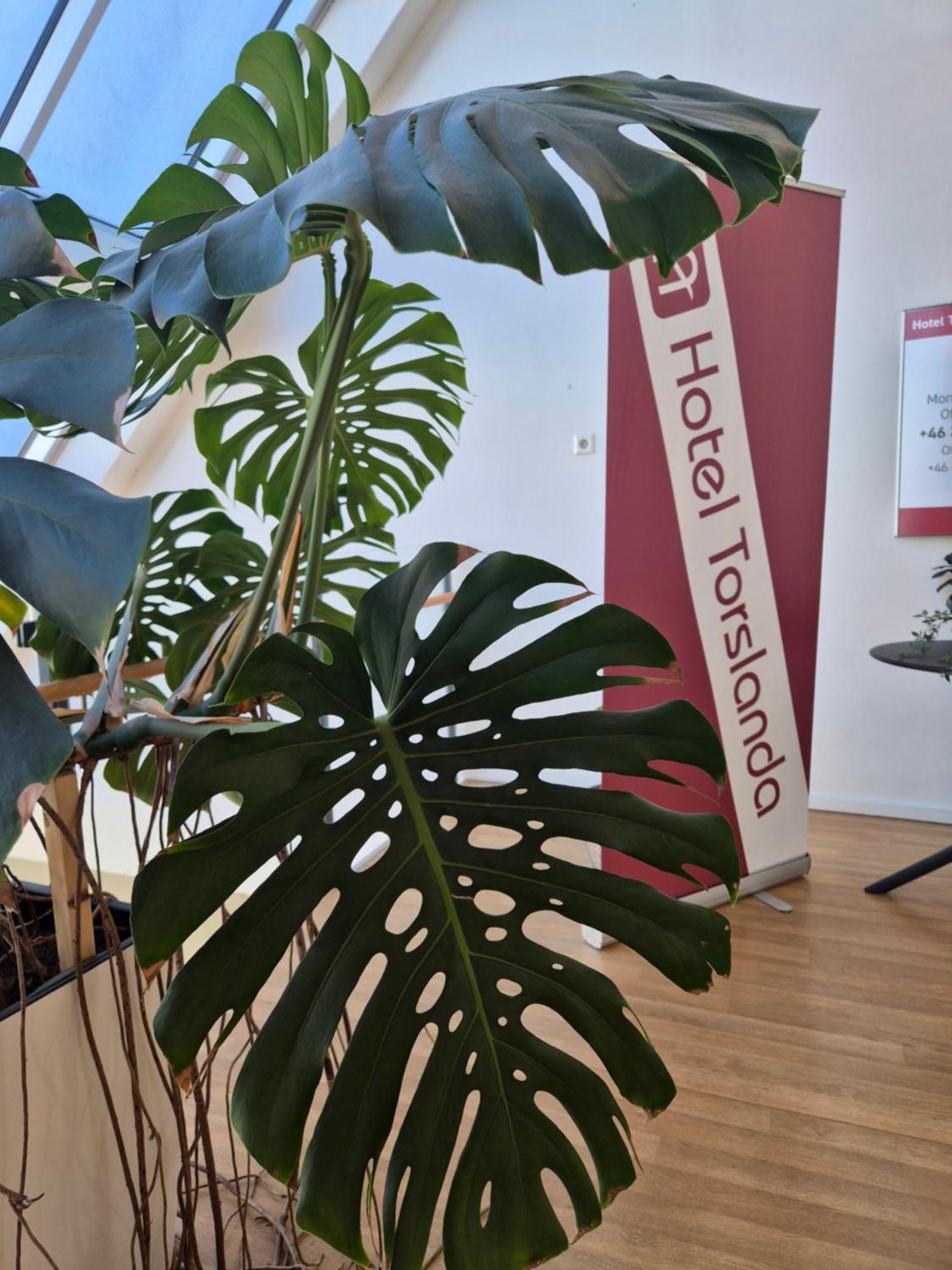 Hotel Torslanda Gothenburg Bagian luar foto